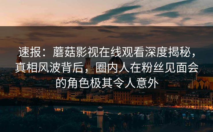速报：蘑菇影视在线观看深度揭秘，真相风波背后，圈内人在粉丝见面会的角色极其令人意外