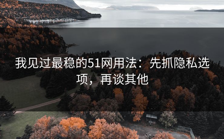 我见过最稳的51网用法：先抓隐私选项，再谈其他